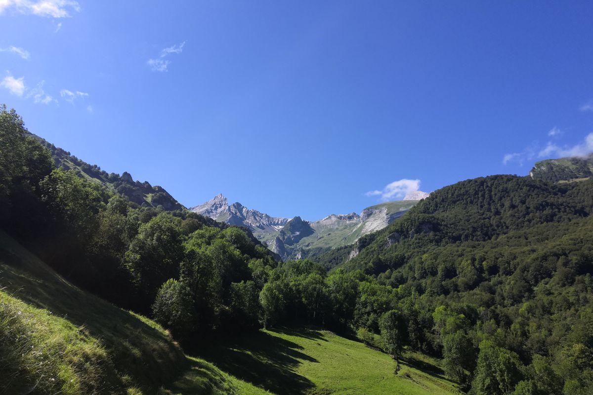 Paysage de montagne verdoyant dans les Pyrénées-Orientales